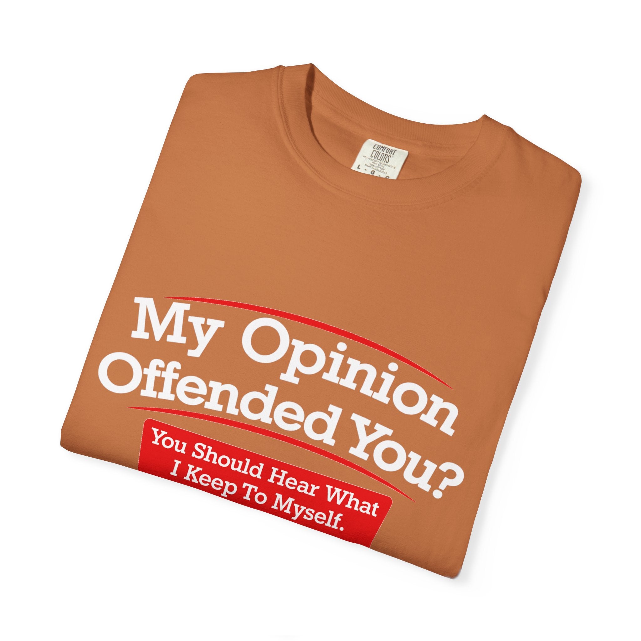 My Opinion Offended You? Graphic T-Shirt — Funny Sarcastic Quote Tee